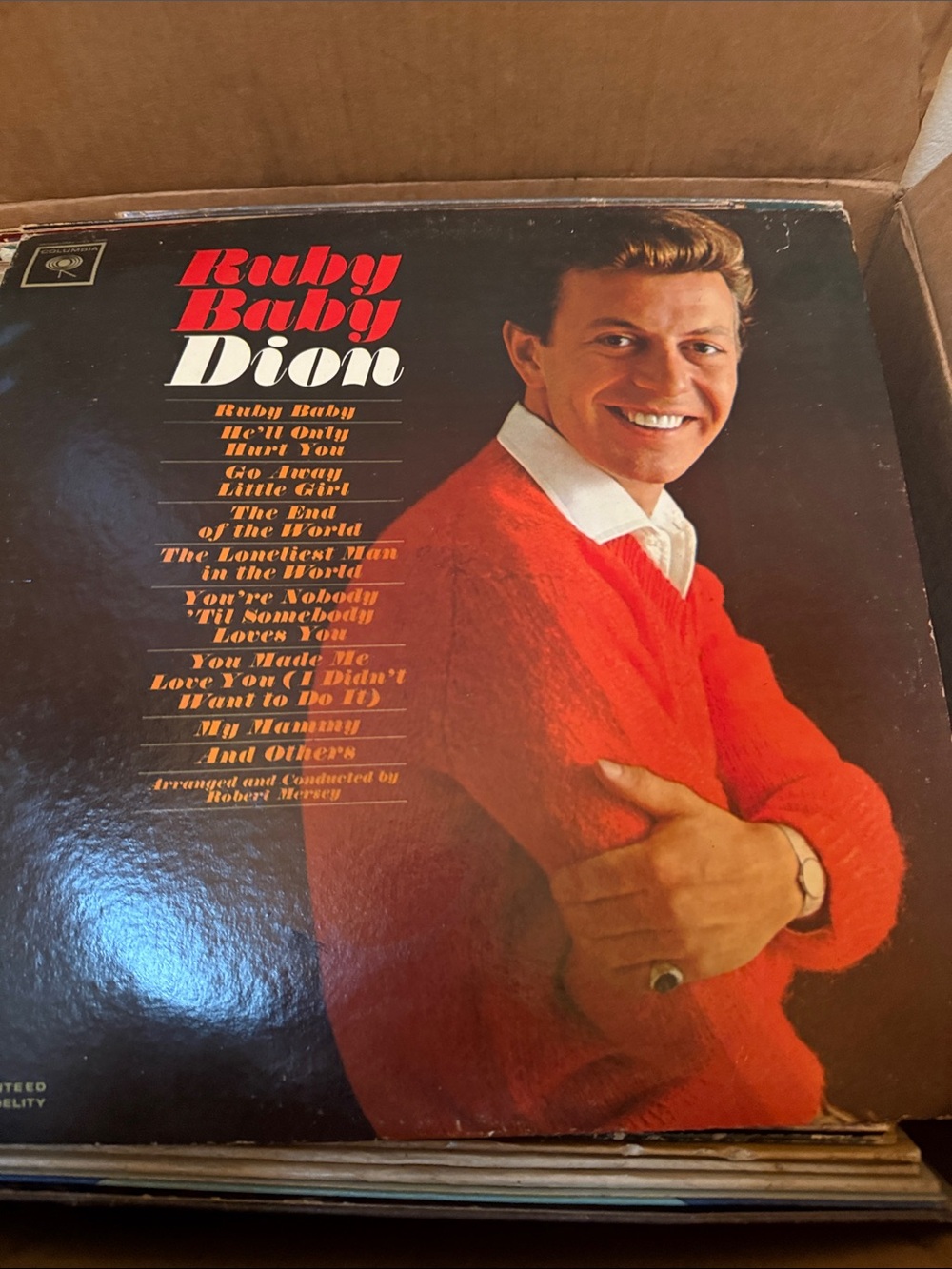 Dion 'Ruby Baby' Red Sweater Throw Pillow Cover